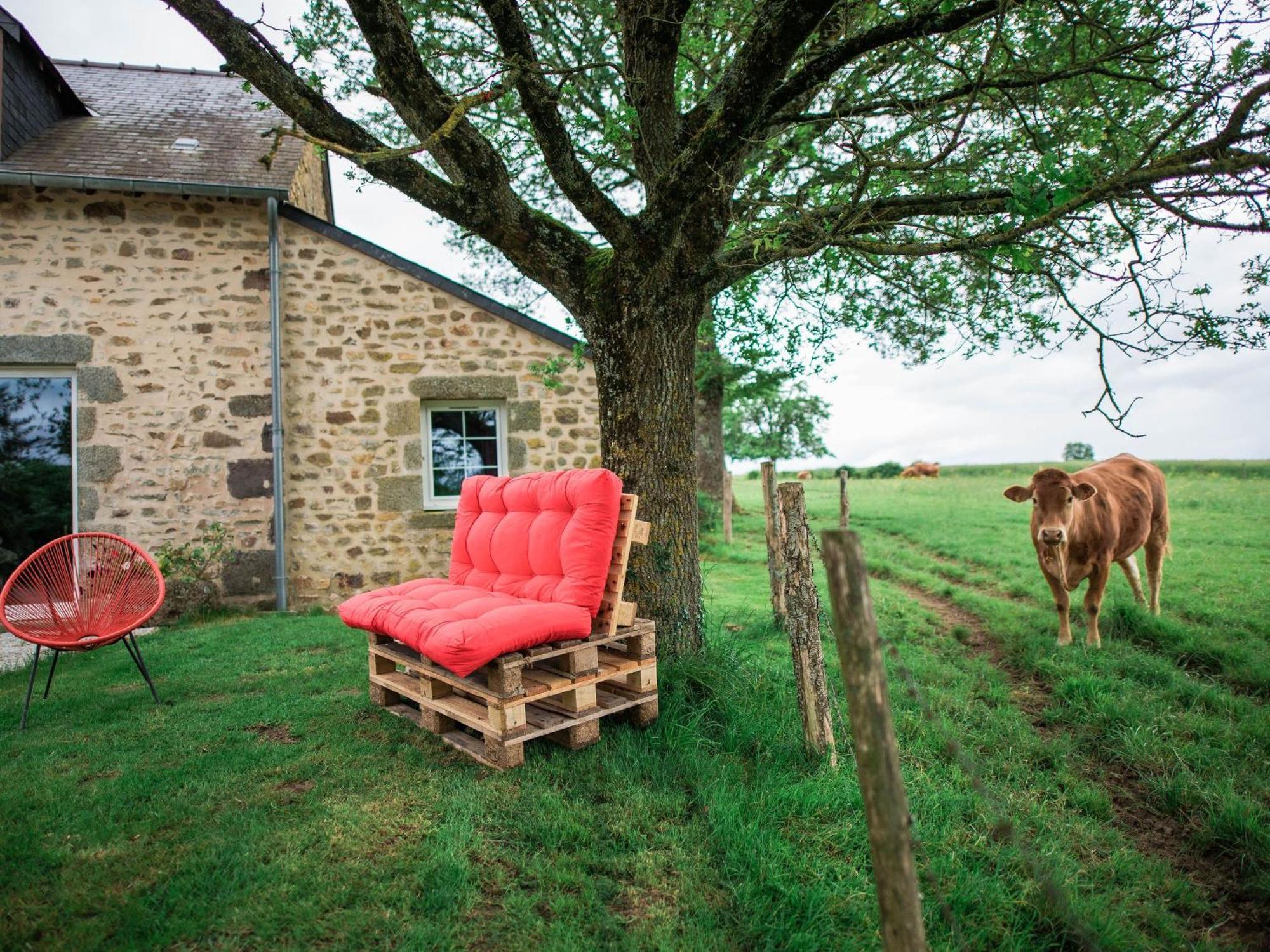 Gite De Charme Renove Avec Cheminee, Terrasse Et Proche Randonnees - Capacite 13 Pers. - Fr-1-410-179 Saint-Léonard-des-Bois 外观 照片
